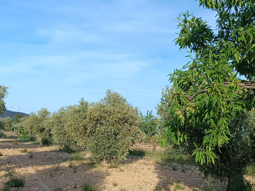 Moderný Property v Yecla – Inland