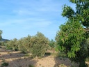 Moderný Property v Yecla – Inland