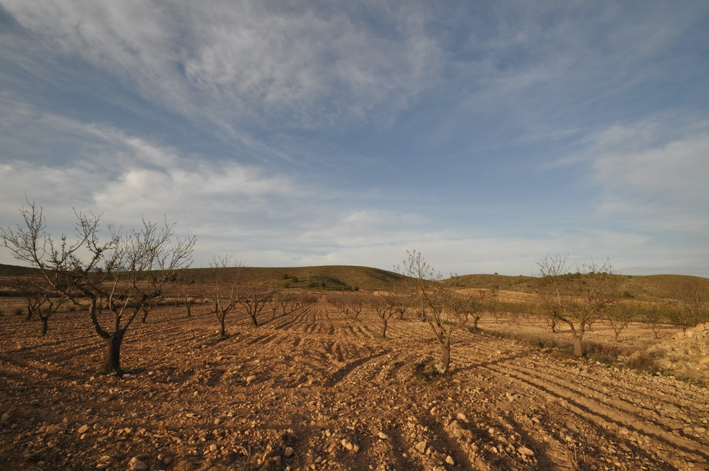 Moderný Land v Abanilla – Inland