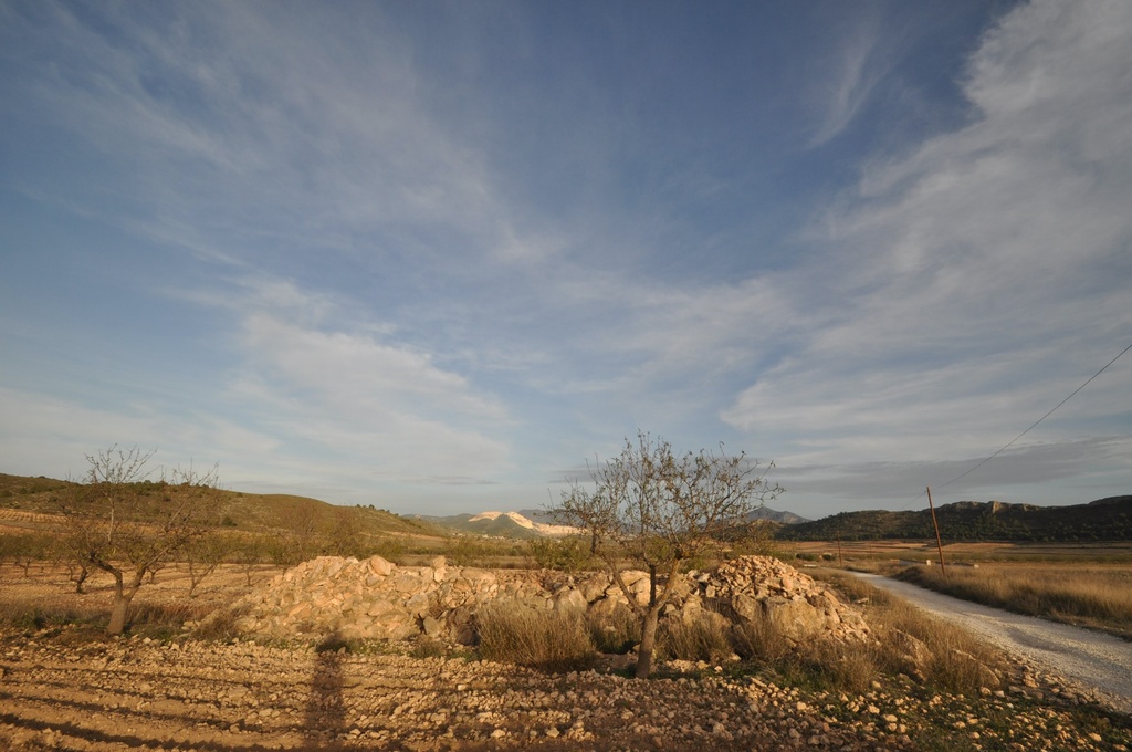 Moderný Land v Abanilla – Inland