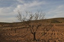 Moderný Land v Abanilla – Inland