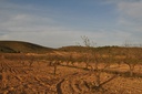 Moderný Land v Abanilla – Inland
