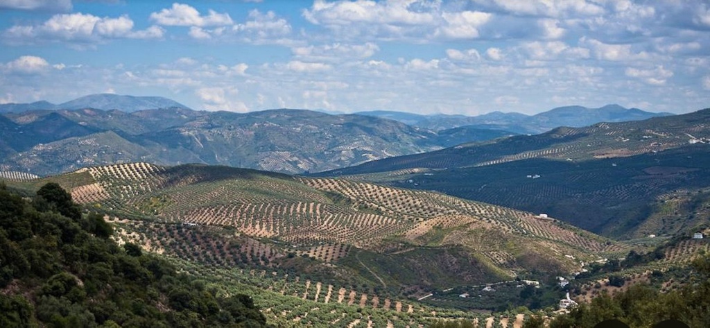 Moderný Land v Antequera – Inland