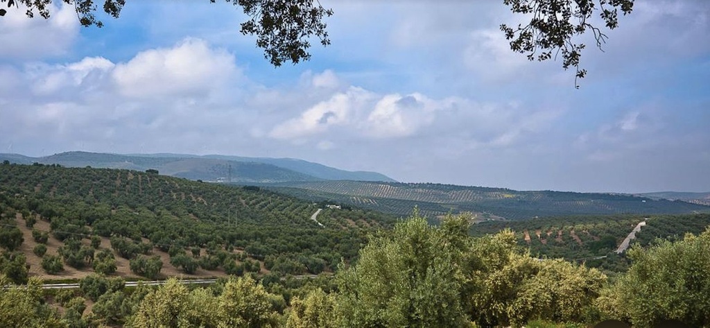 Moderný Land v Antequera – Inland