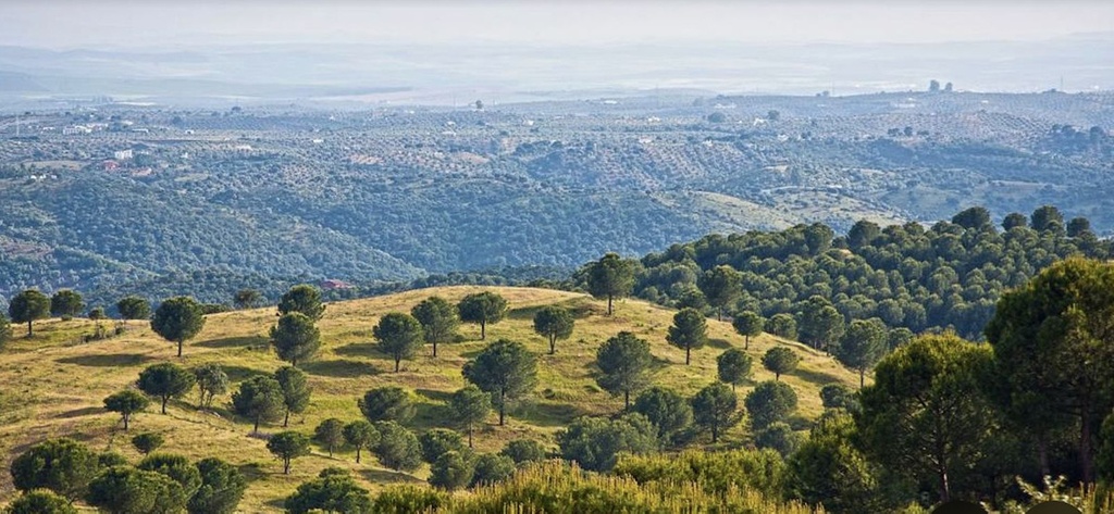 Moderný Land v Antequera – Inland