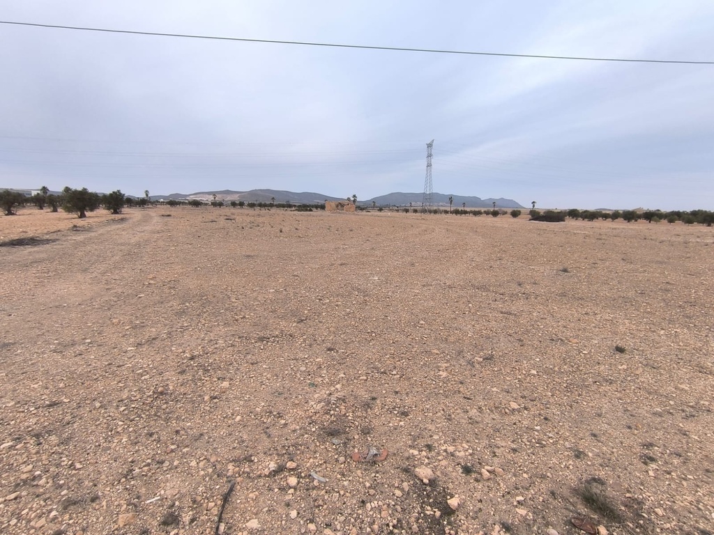 Moderný Land v Yecla – Inland