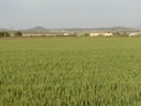 Moderný Land v Yecla – Inland