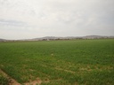Moderný Land v Yecla – Inland