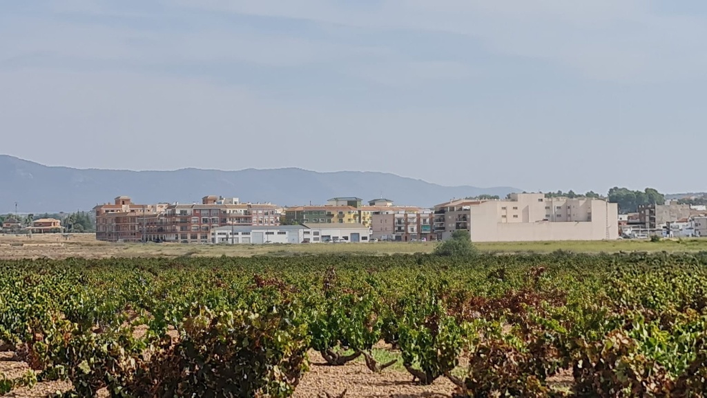 Moderný Land v Pinoso – Inland