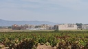 Moderný Land v Pinoso – Inland