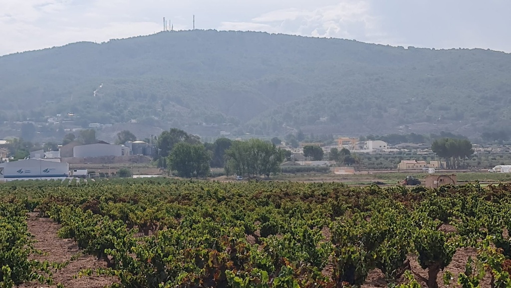 Moderný Land v Pinoso – Inland