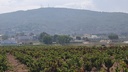 Moderný Land v Pinoso – Inland