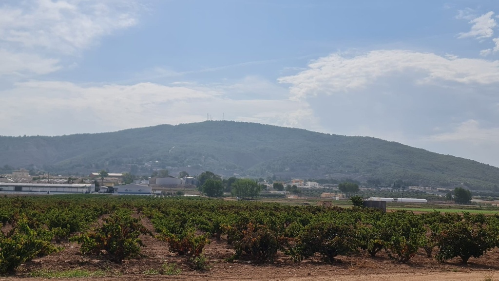 Moderný Land v Pinoso – Inland