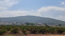 Moderný Land v Pinoso – Inland