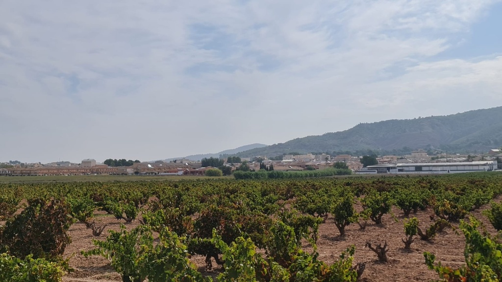 Moderný Land v Pinoso – Inland