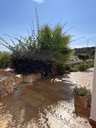Luxusná vila v Calpe – Costa Blanca
