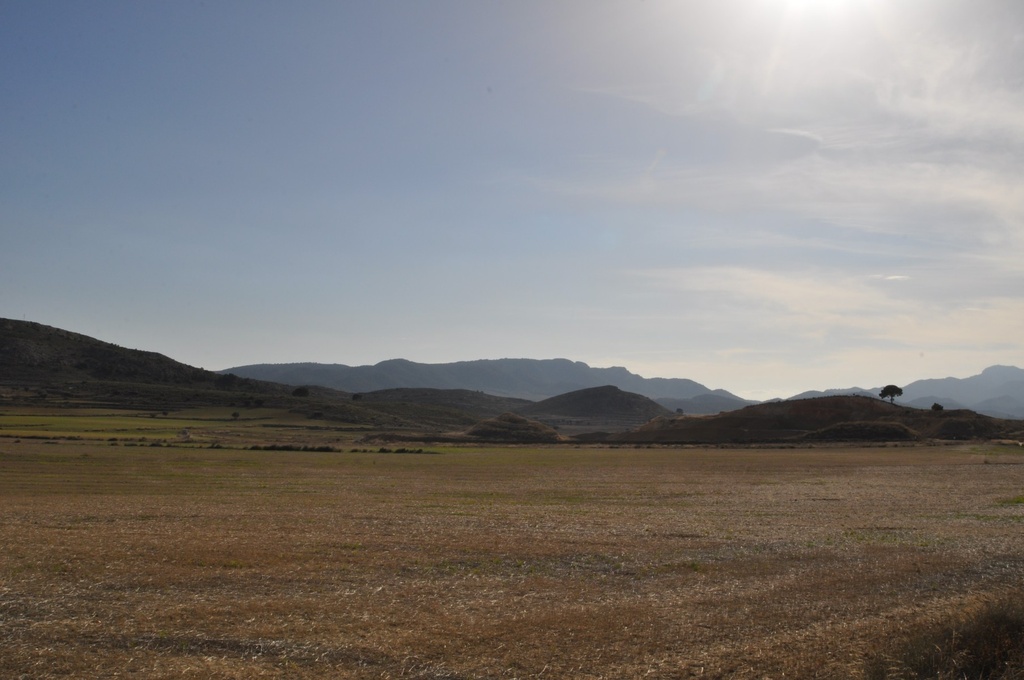 Moderný Land v Torre Del Rico – Inland