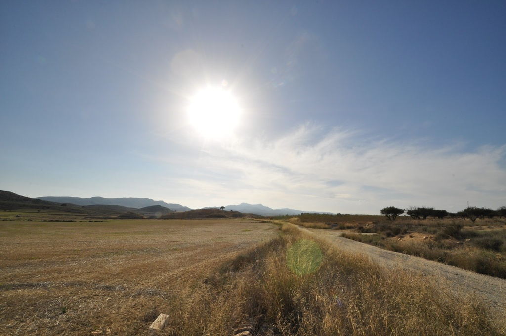 Moderný Land v Torre Del Rico – Inland