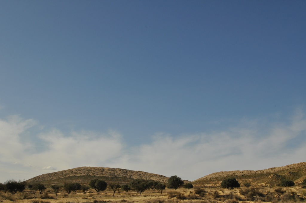 Moderný Land v Torre Del Rico – Inland