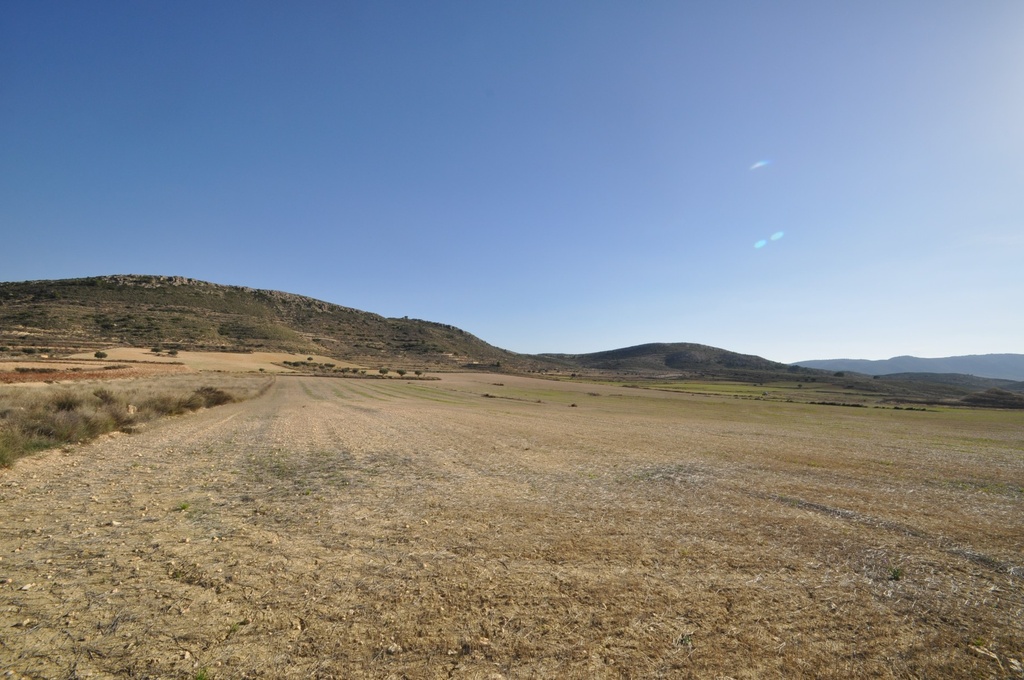 Moderný Land v Torre Del Rico – Inland