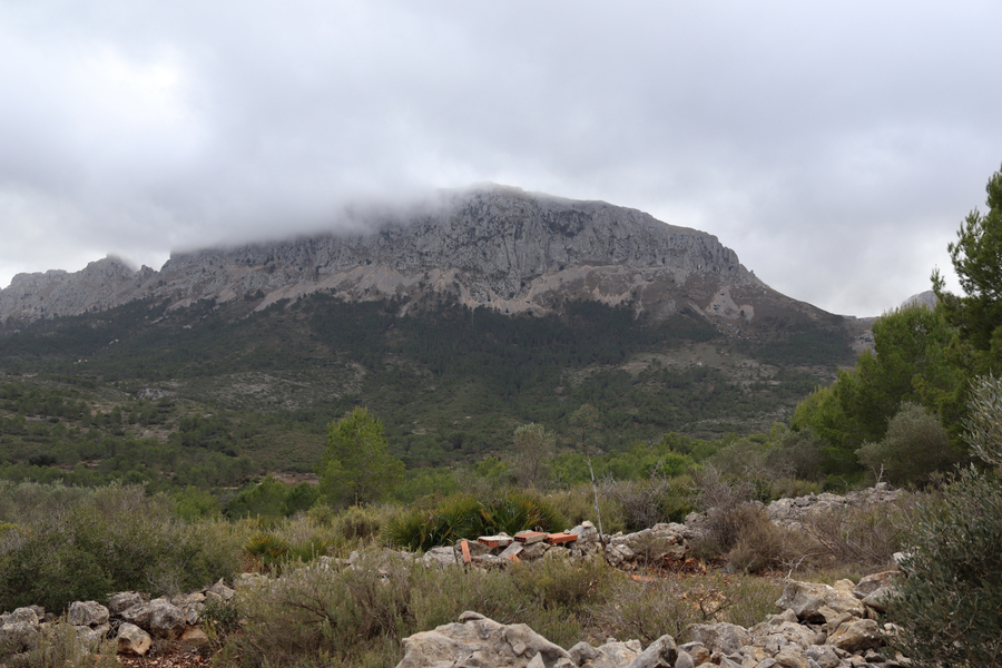 Moderný Land v Jalón – Inland
