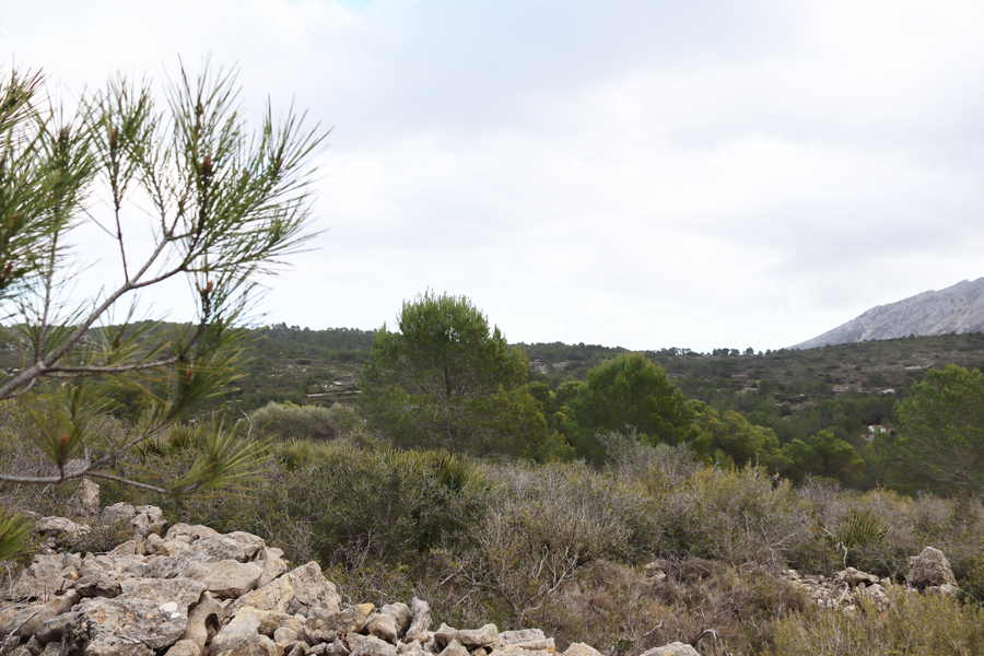 Moderný Land v Jalón – Inland