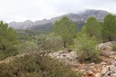Moderný Land v Jalón – Inland