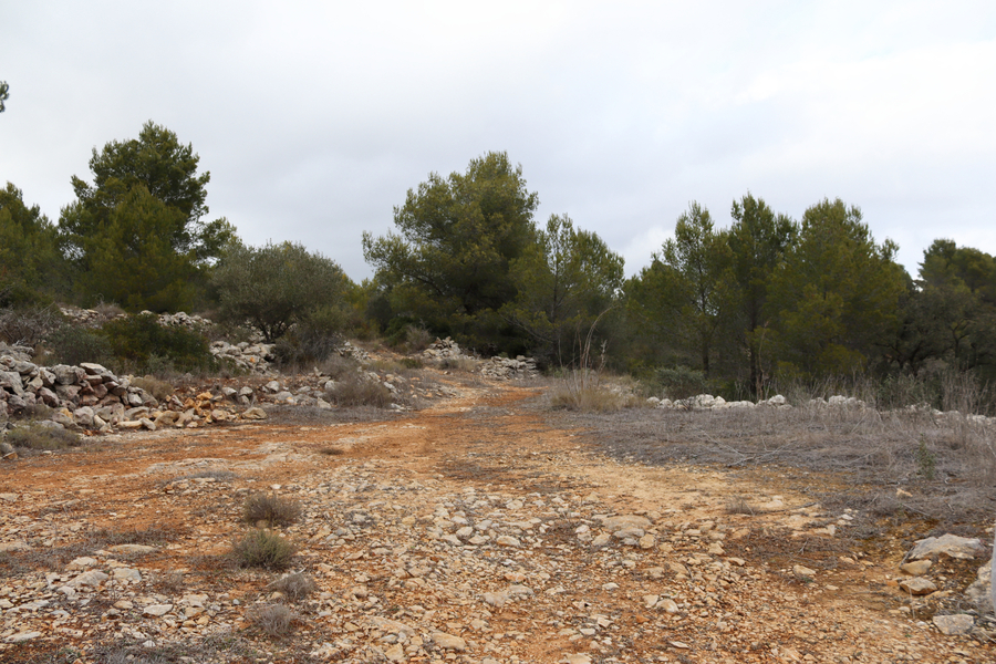 Moderný Land v Jalón – Inland