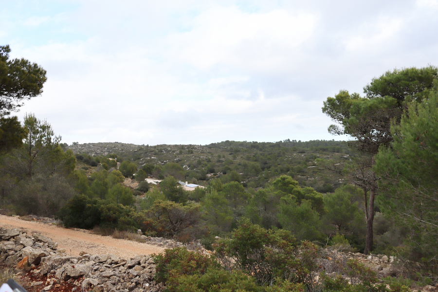 Moderný Land v Jalón – Inland