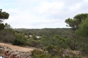 Moderný Land v Jalón – Inland