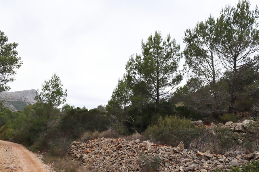 Moderný Land v Jalón – Inland