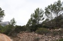 Moderný Land v Jalón – Inland