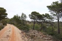 Moderný Land v Jalón – Inland