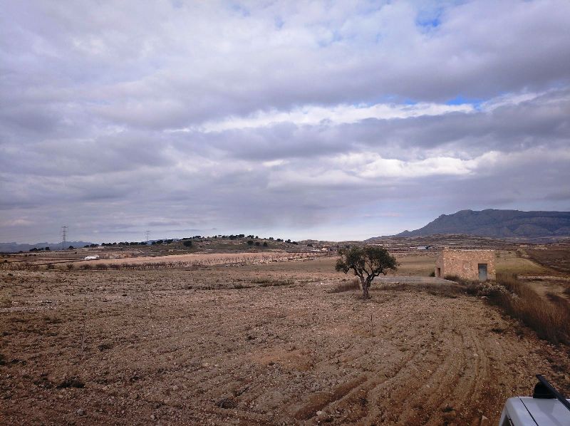 Moderný Land v Torre Del Rico – Inland