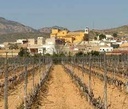 Moderný bungalow v Hondón de las Nieves – El Salero