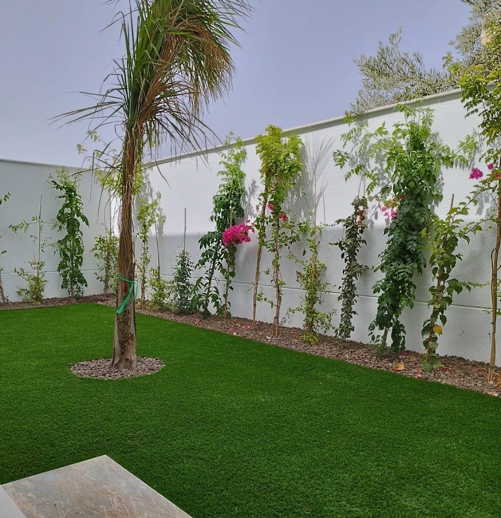 Moderná vila v San Javier – Parque del doce