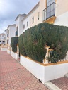 Objavte tento pôvabný prízemný bungalov nachádzajúci sa v žiadanej štvrti Torre La Mata v Torrevieja. Registrovaná cena