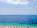 COB941315.webp