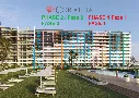 fáza 1 a 2