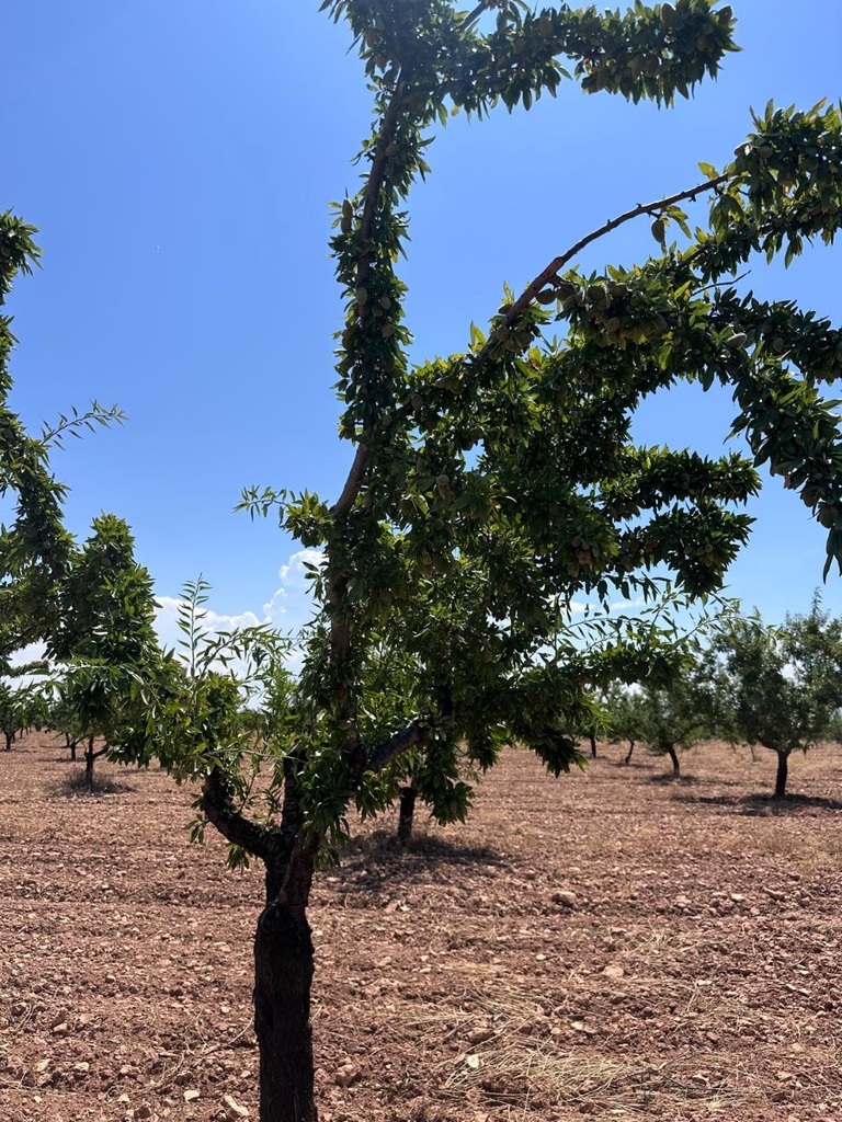 [second:1952-248-11-601] GRANADA – Land from 255 000 € | Inland, Costa del Sol