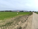 VILLENA – Luxusný Land od 1 400 000 € | Inland, Costa Blanca