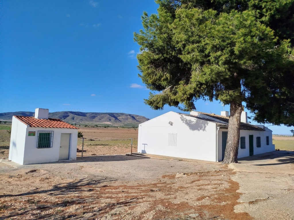 YECLA – 3-spálňový Property od 160 000 € | Bazén, Parkovanie, Záhrada