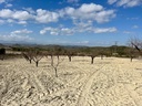 BULLAS – Land from 170 000 € | Inland, Costa Cálida