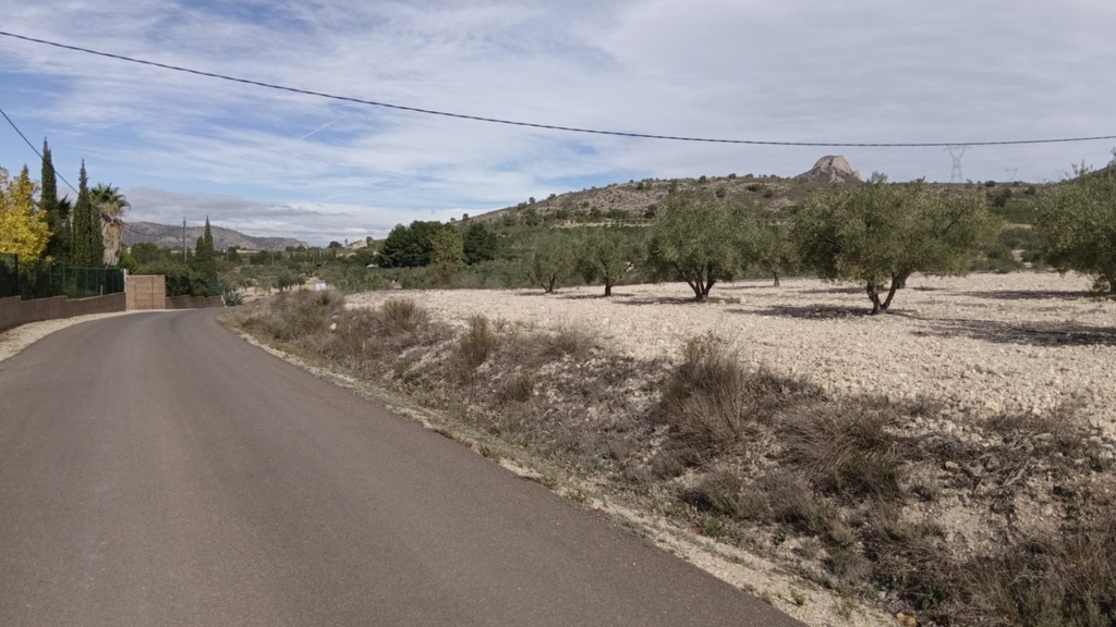 [second:1612-248-11-601] SALINAS – Land od 90 000 € | Inland, Costa Blanca