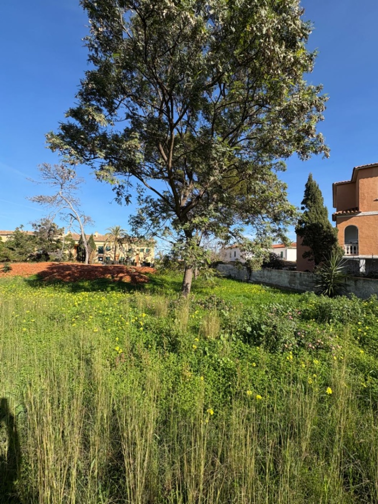 [second:1-524-11-1158] DENIA – Land od 736 000 € | Costa Blanca