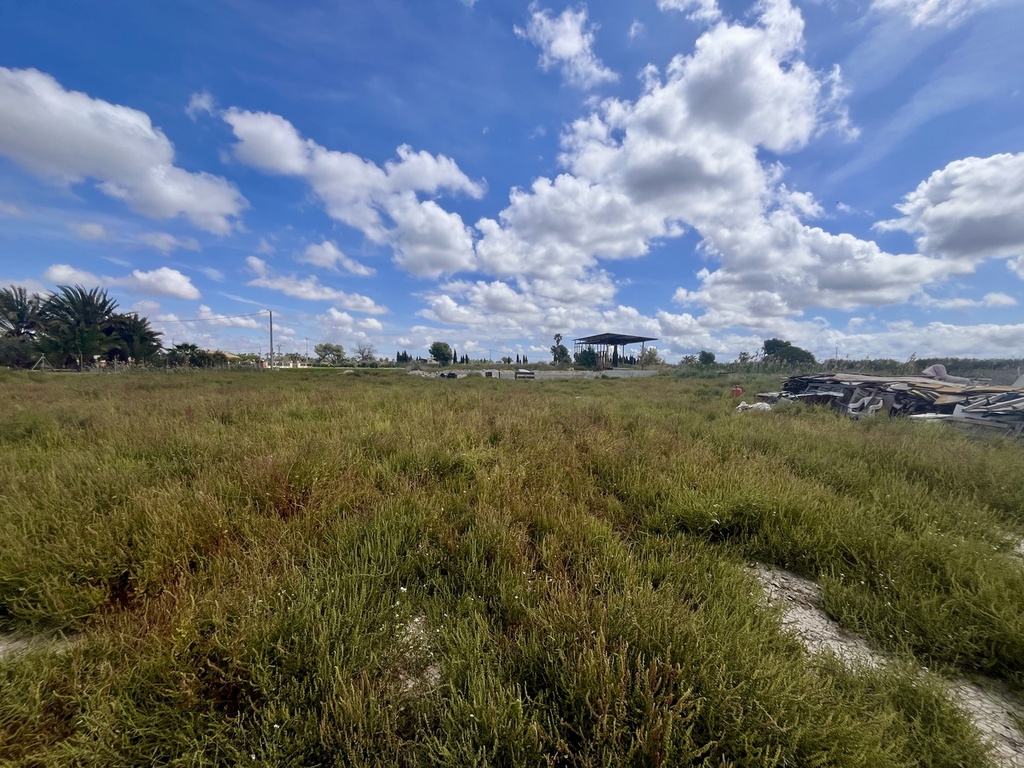 [second:364-435-11-854] CATRAL – Land od 97 000 € | Golf, Costa Blanca