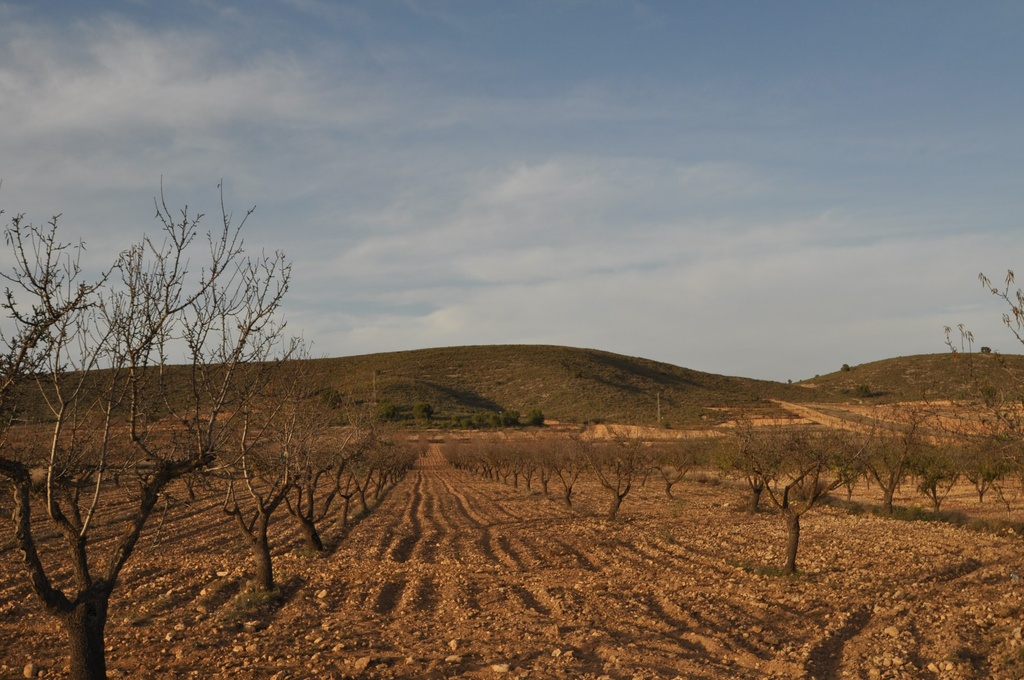 ABANILLA – Land od 85 995 € | Inland, Costa Cálida