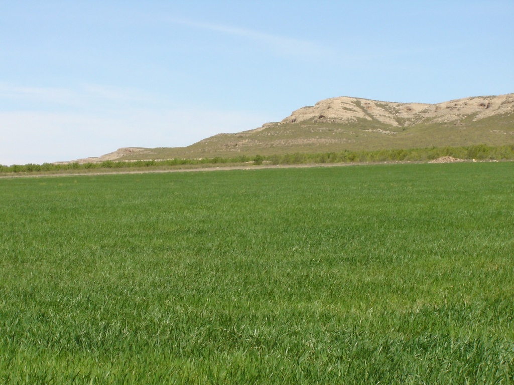 YECLA – Land od 450 000 € | Inland, Costa Cálida