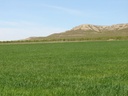 YECLA – Land od 450 000 € | Inland, Costa Cálida