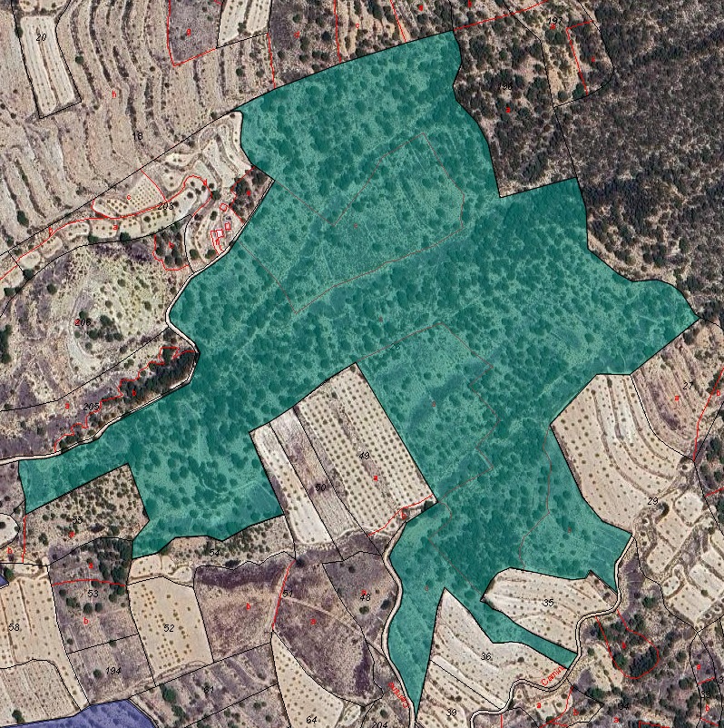 MONÓVAR/MONÓVER – Land from 199 995 € | Inland, Costa Blanca